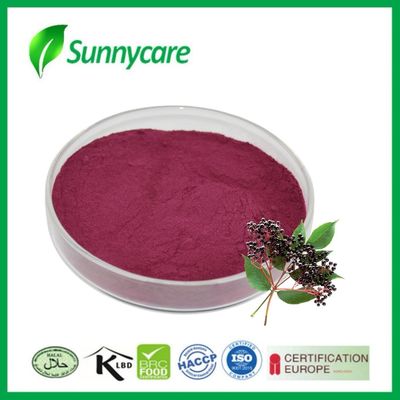 엘더베리 추출물 주스 파우더 Sambucus nigra 식품 및 음료용 천연 색소