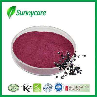 면역력과 활력을 위해 Black Elderberry Extract Powder from Sambucus nigra